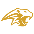 platinum-pars-logo